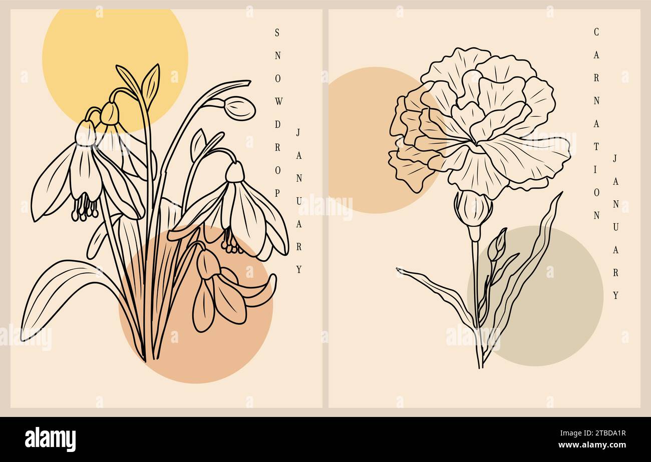 January Birth flower Snowdrop, Carnation wall art Stock Vector