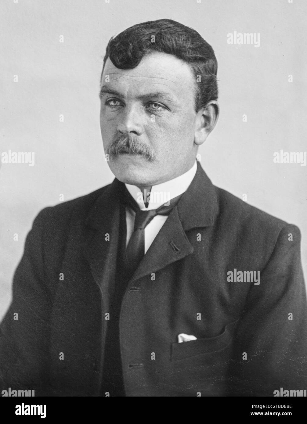 Edwardian Moustache Edwardian Moustache