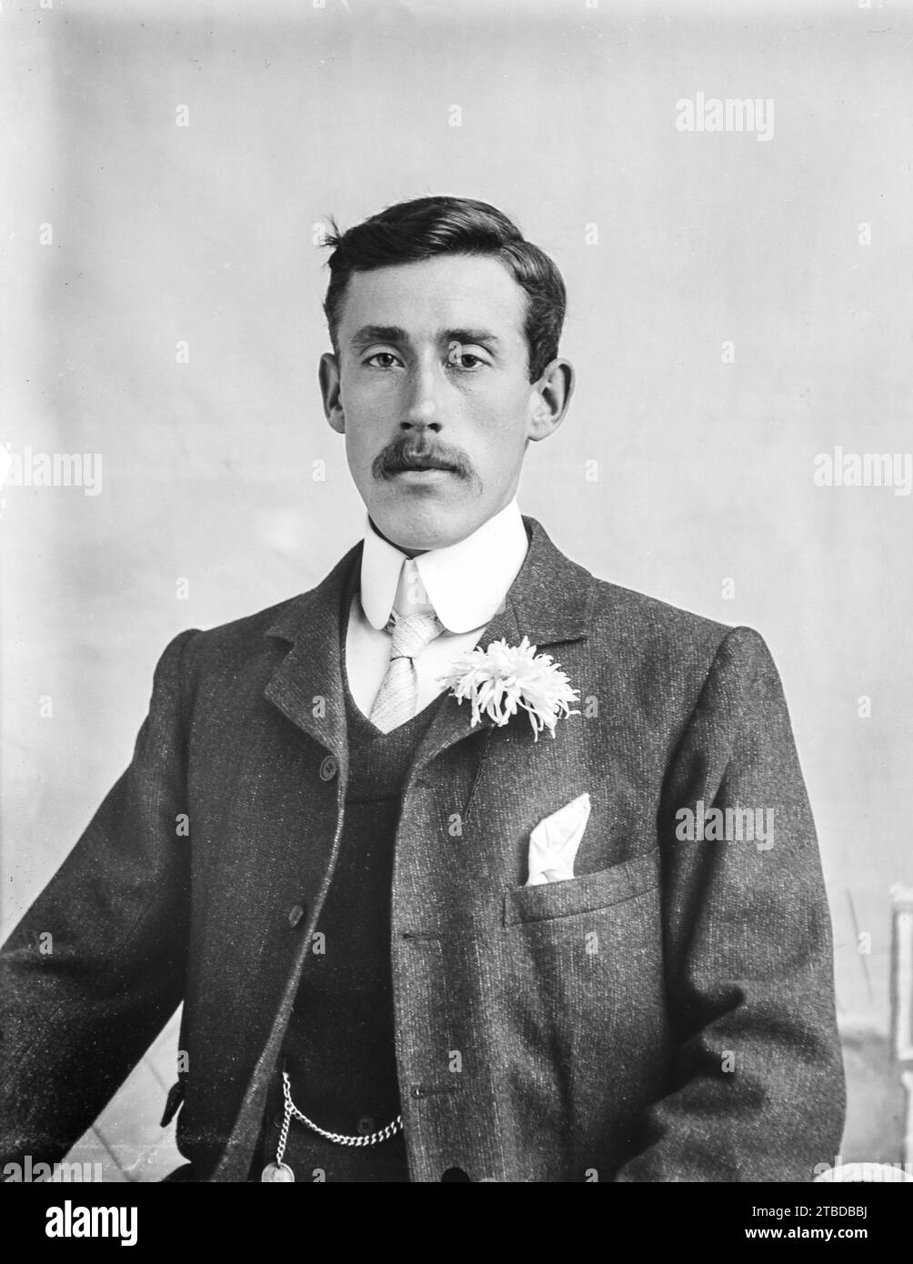 Edwardian Moustache Edwardian Moustache