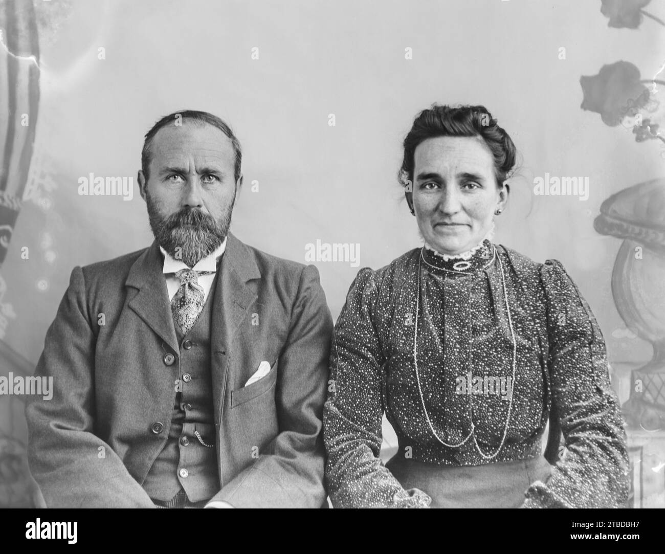 Edwardian formal portrait of a man in a suit with a beard sitting next ...