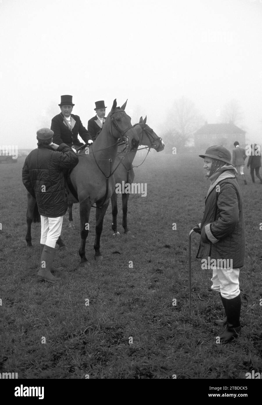 Fox hunting, the Duke of Beaufort hunt.  A break during the days hunting and a change of horses. Badminton, Gloucestershire, England circa November 1985. Stock Photo