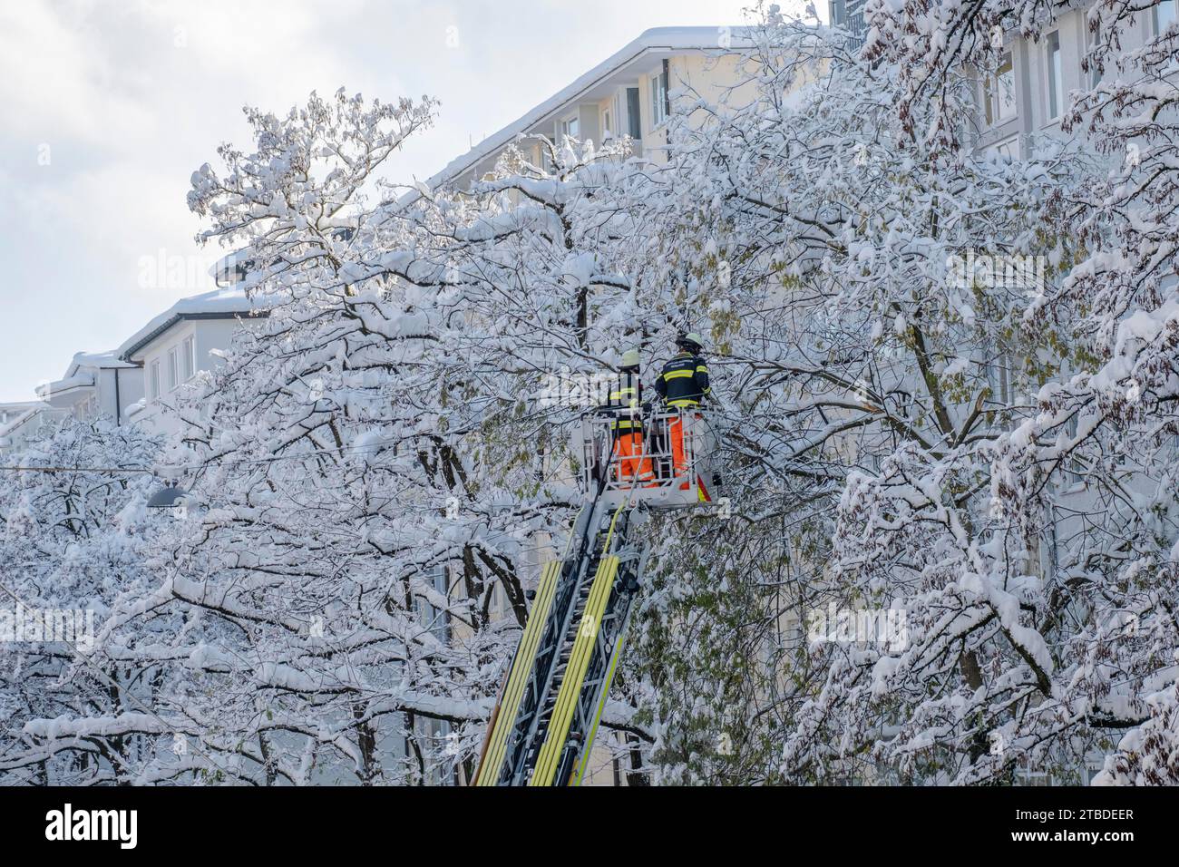 Fire brigade operation in winter, danger due to snow load on trees ...