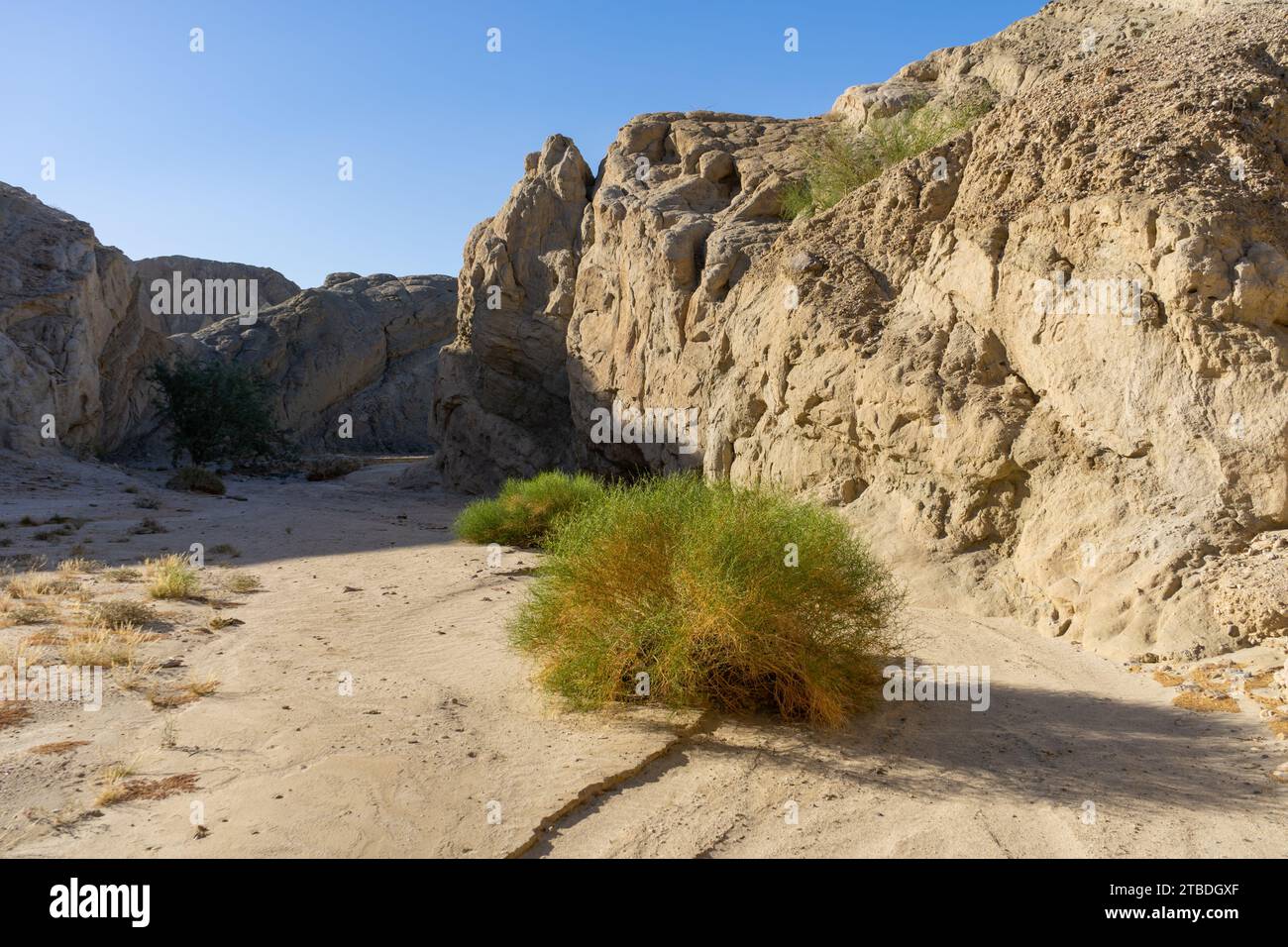 Box Canyon Wash, a dry, dusty, empty canyon in Southern California