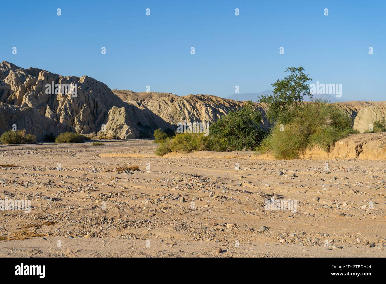 Box Canyon Wash, a dry, dusty, empty canyon in Southern California