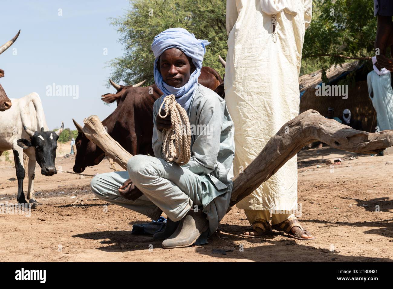 Man in a cattle market in chad Stock Photo