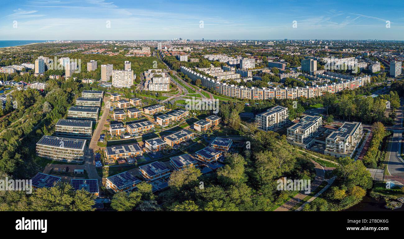 Aerial view of residential area surrounded by lush green trees Stock ...