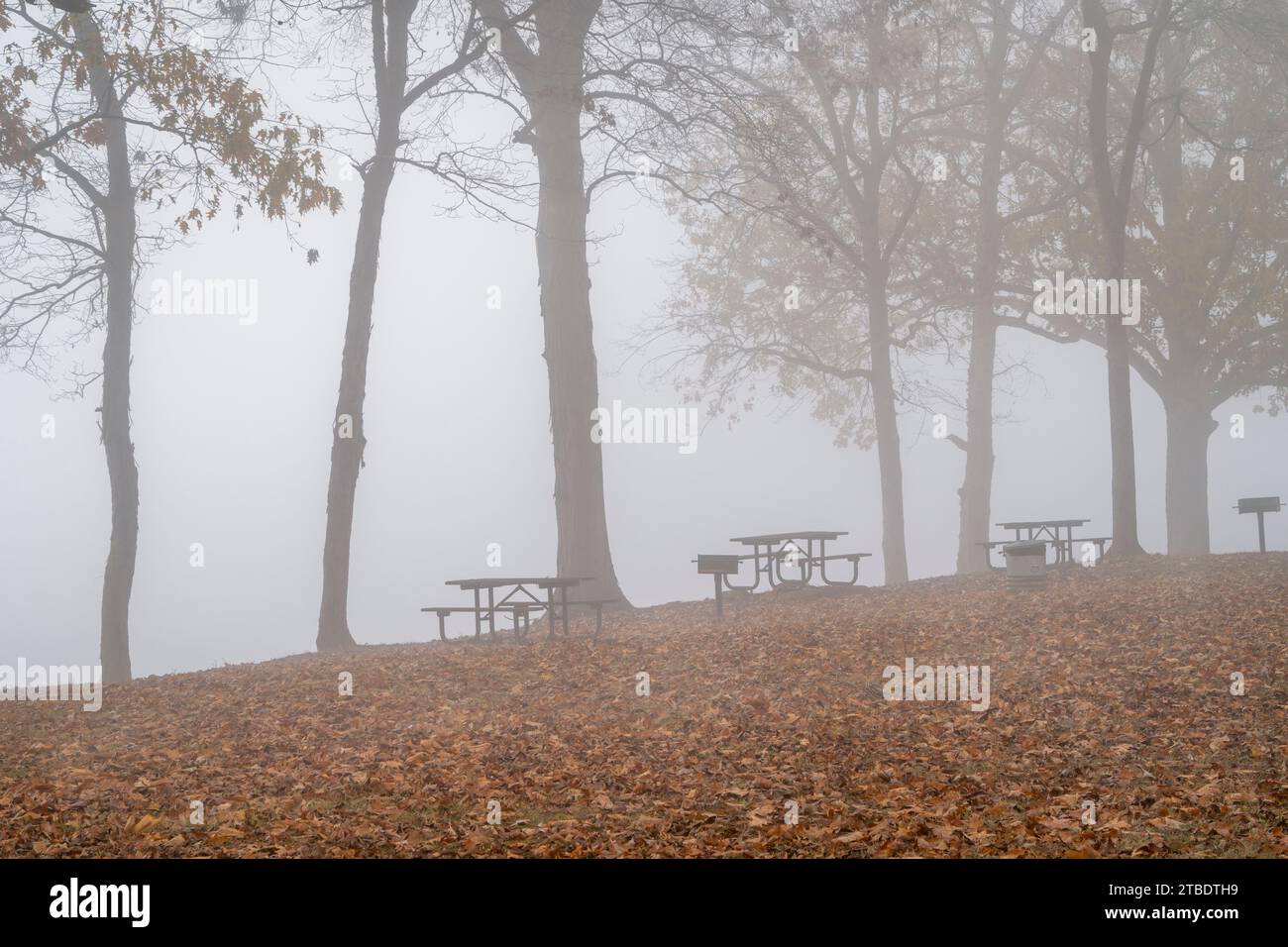 foggy November morning on a shore of the Tennessee River at Colbert Ferry Park, Natchez Trace National Parkway Stock Photo