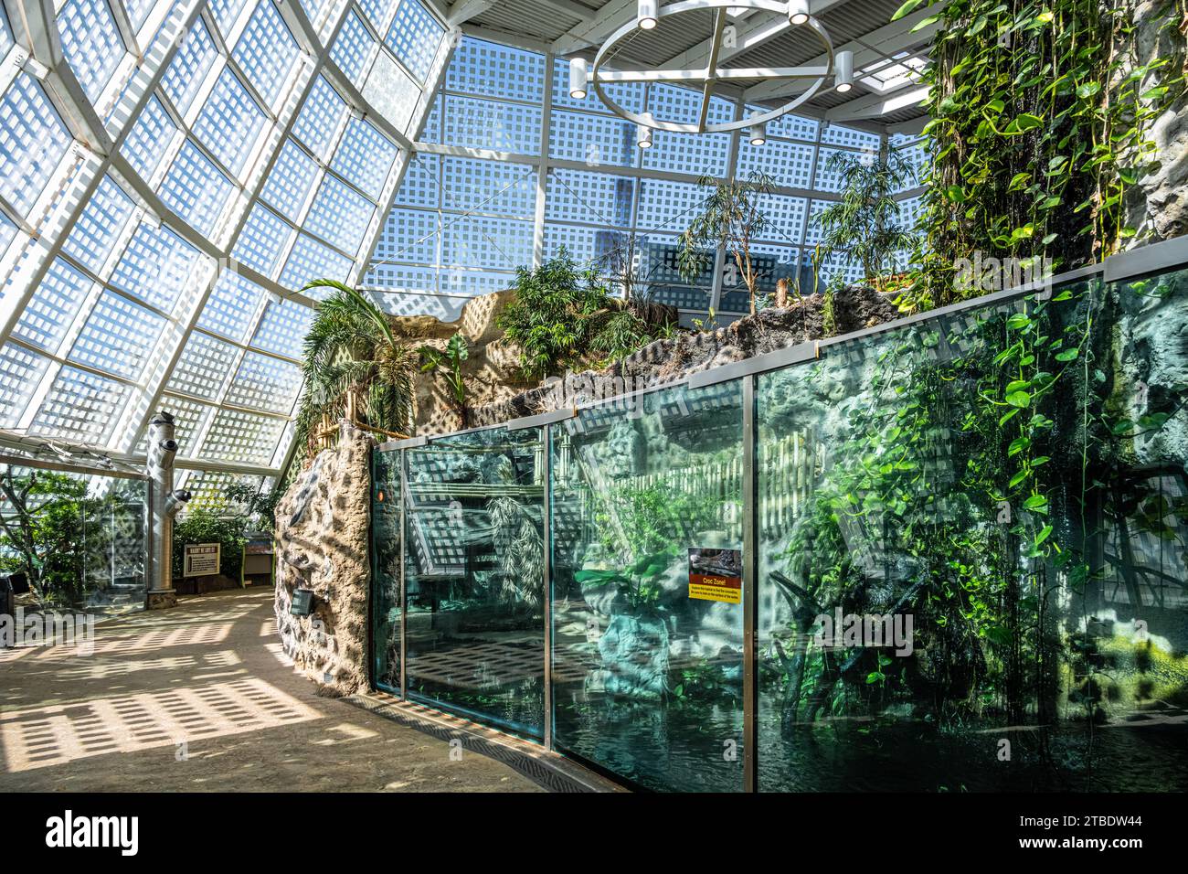 Scaly Slimy Spectacular amphibian and reptile exhibit at Zoo Atlanta in Atlanta, Georgia. (USA) Stock Photo