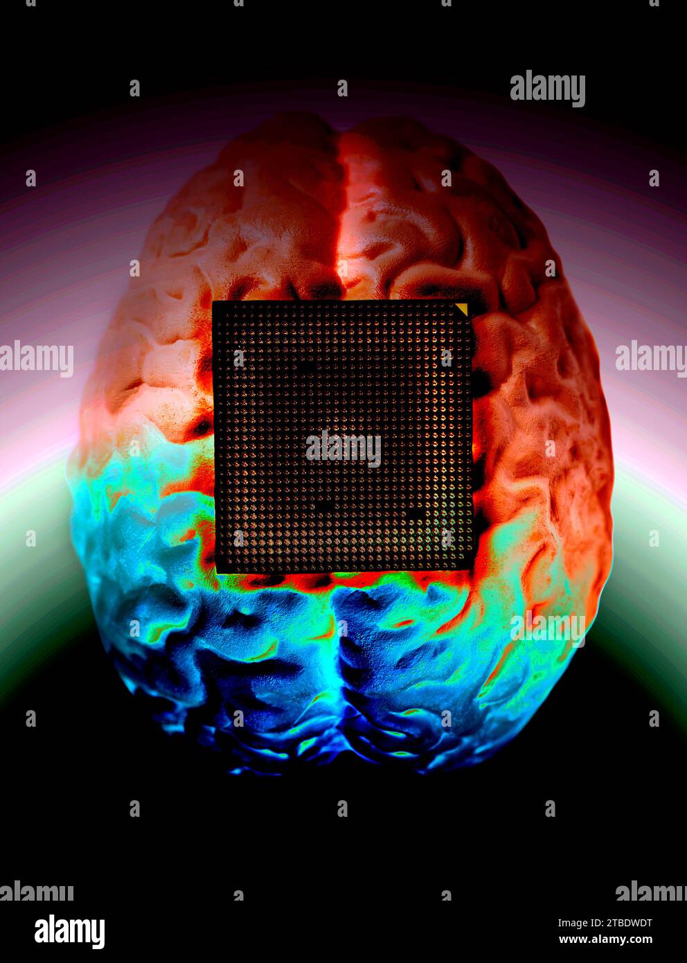 Computer Processor Vs Human Brain at Eden Disney blog