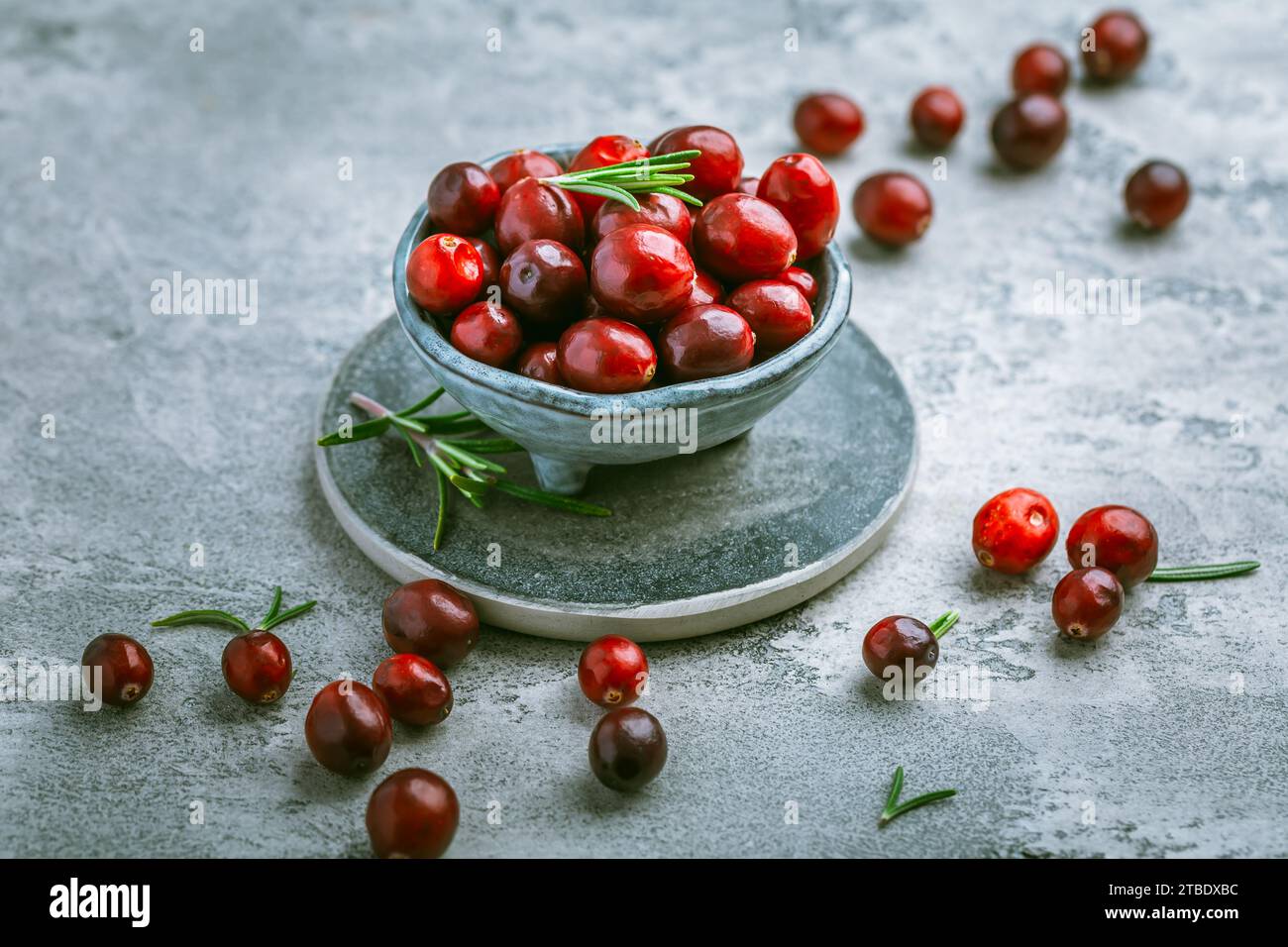 Organic Cranberries in a bowl on grey background Stock Photo