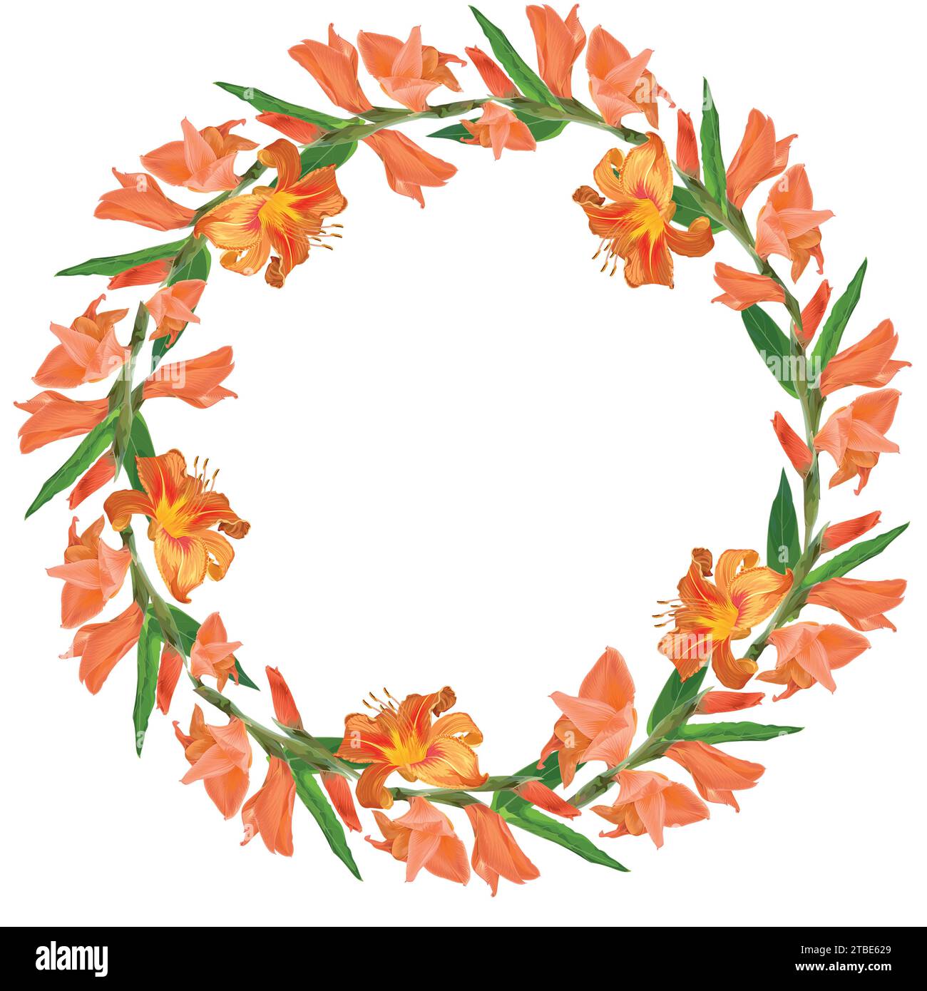 Round wreath of buds of orange lilies and gladiolus Stock Vector