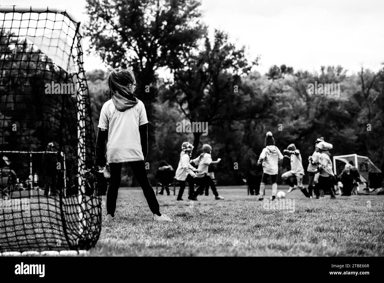 Selective focus on grass and back of goal net in a youth soccer match