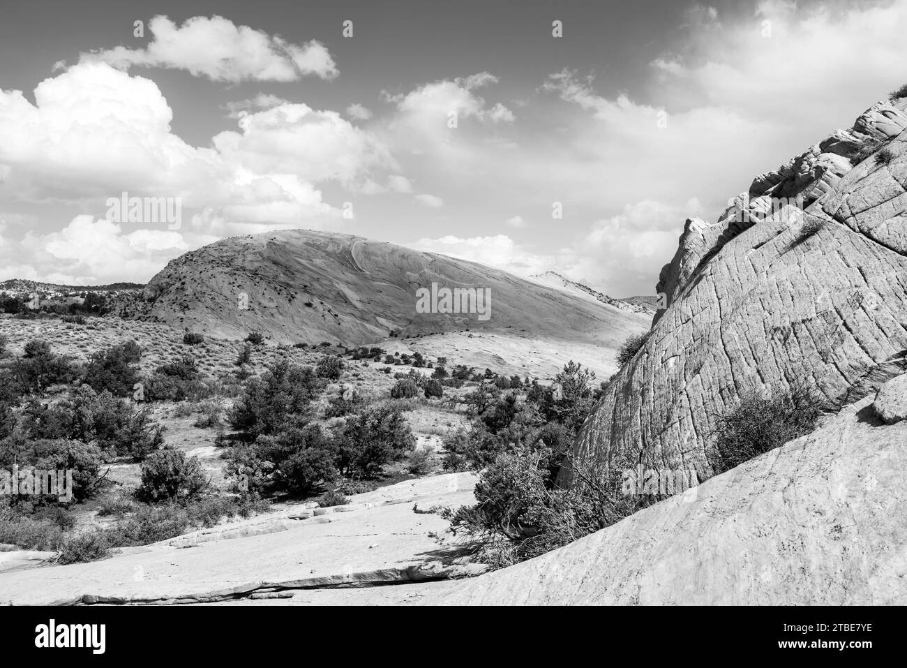 Photograph of the Yellow Rock area, a sandstone hill that's mostly ...