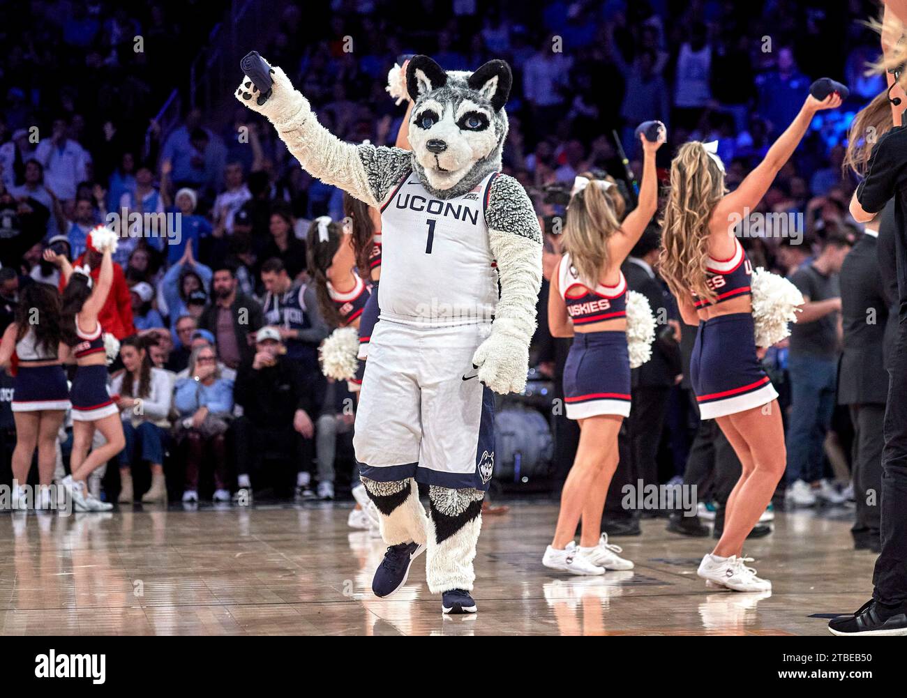 Connecticut Huskies mascot during the Jimmy V Classic against the North ...