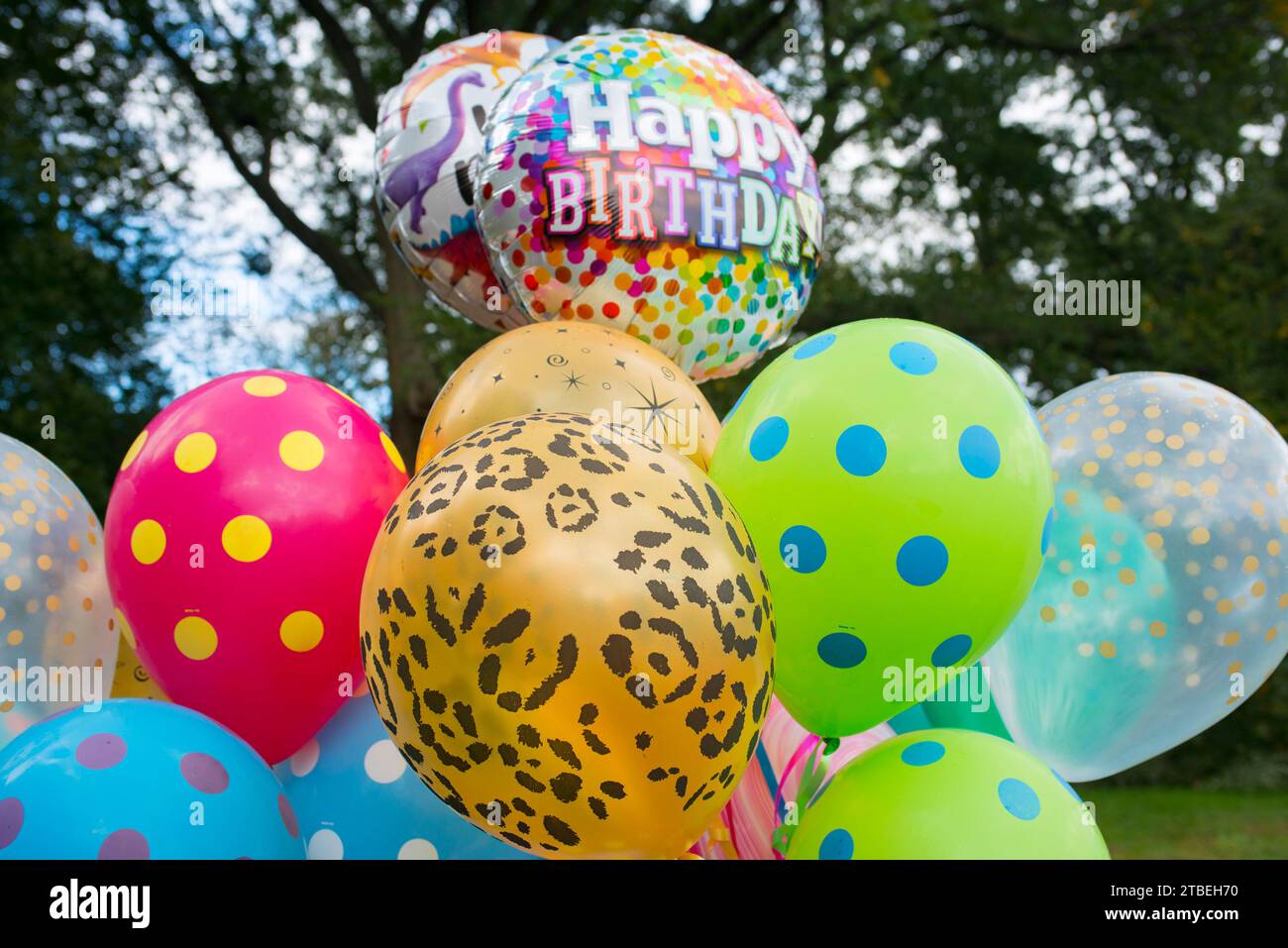 Several 'Happy Birthday' and colorful helium-filled balloons in an outdoor setting Stock Photo