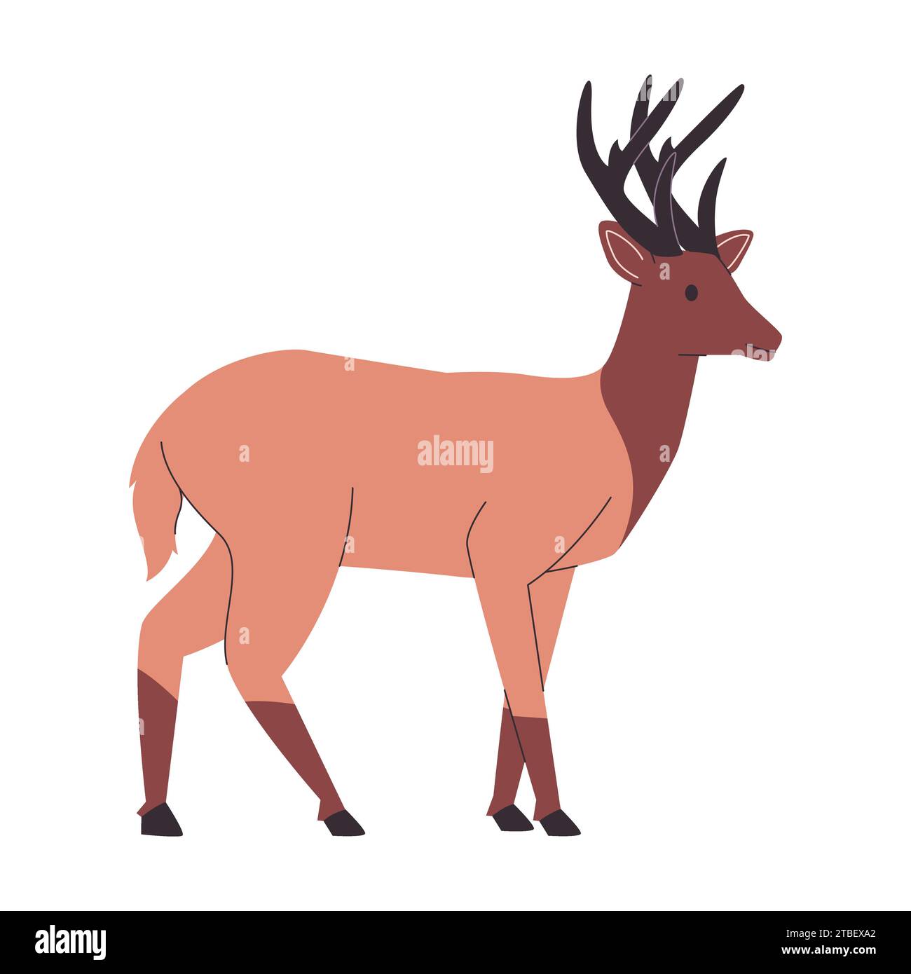 brown color rocky mountain elk or deer wild nature animal with big horns mammal herbivores creature Stock Vector