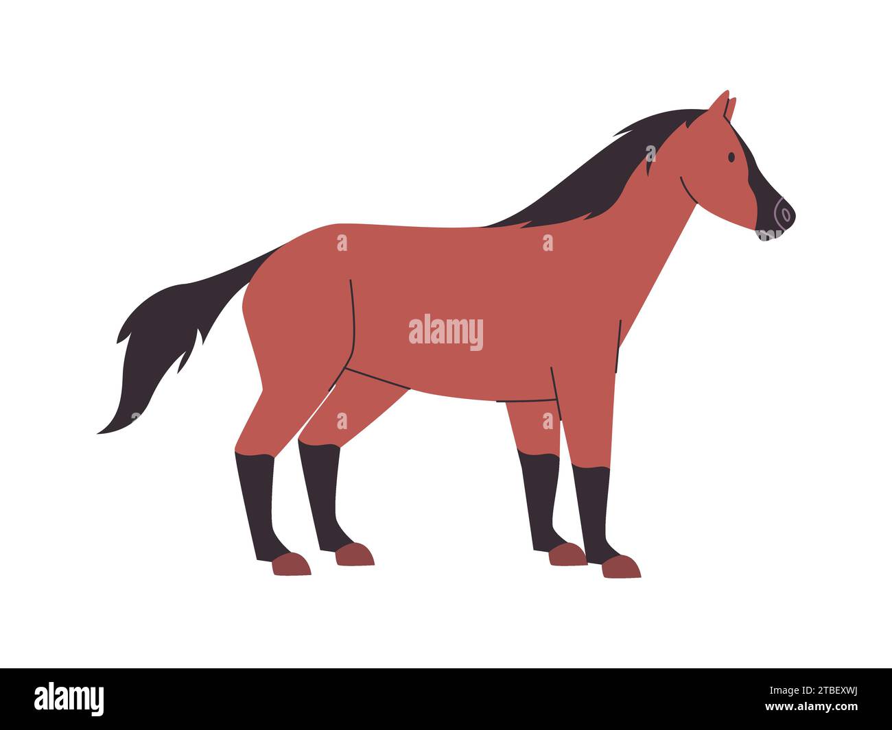 brown and black color horse mare or stallion wild nature mammal animal have tail and power fast run Stock Vector