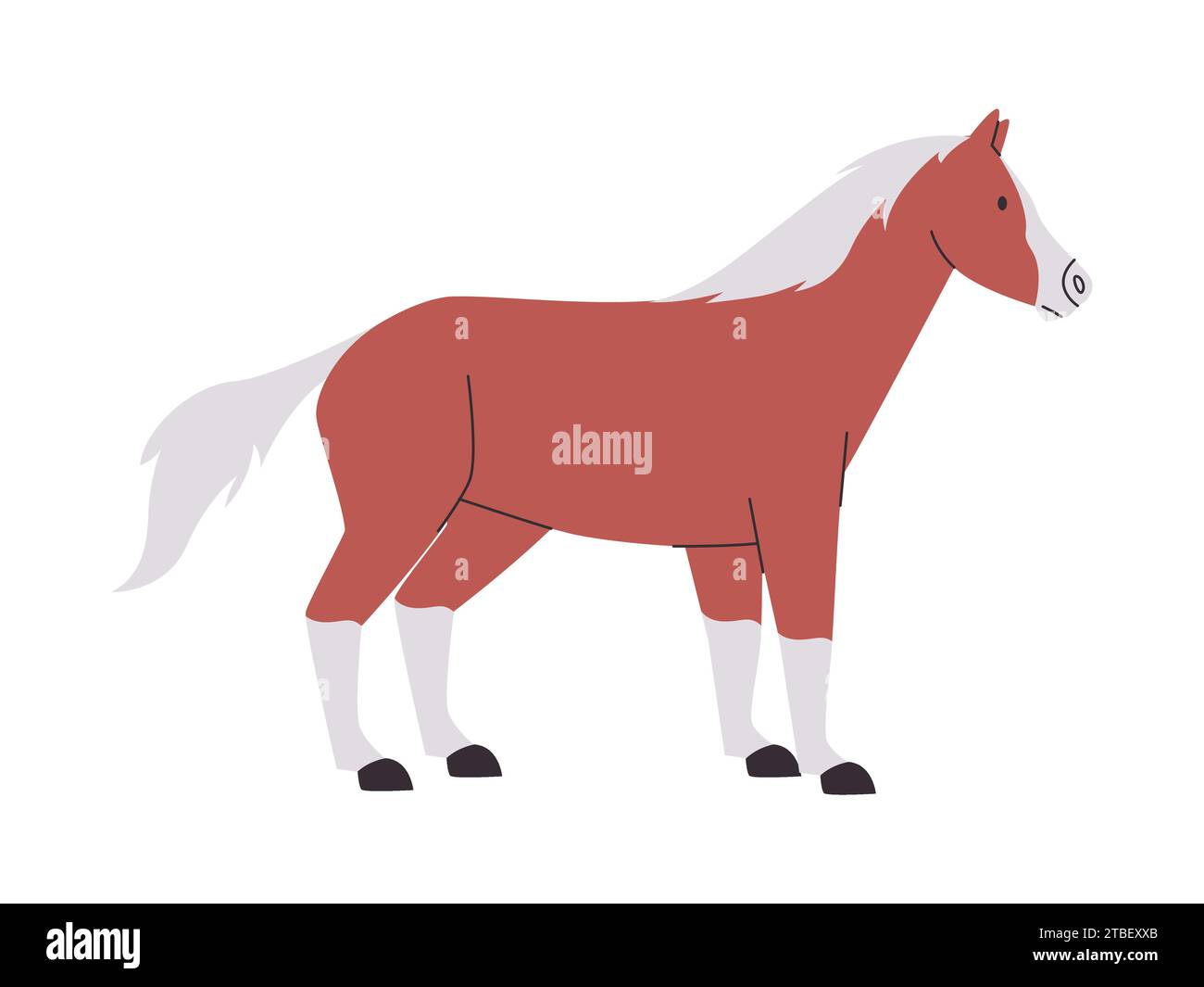 brown and white color horse mare or stallion wild nature mammal animal have tail and power fast run Stock Vector