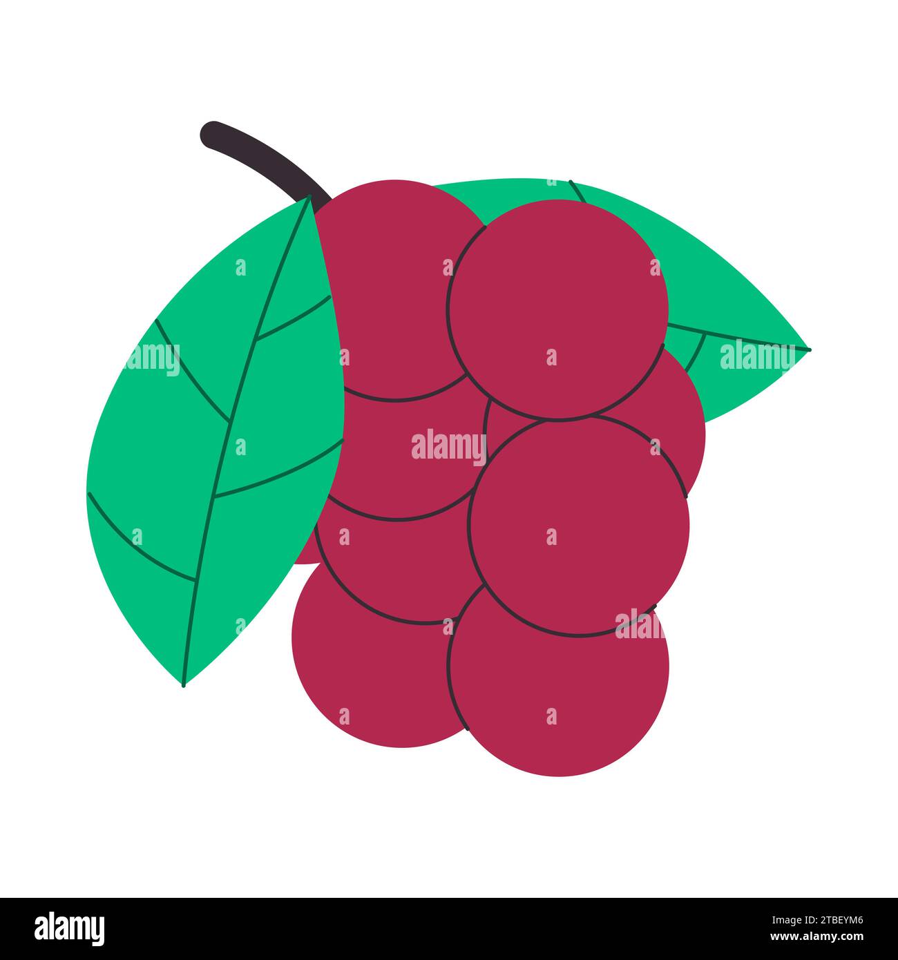 Chokecherry tree Stock Vector Images - Alamy