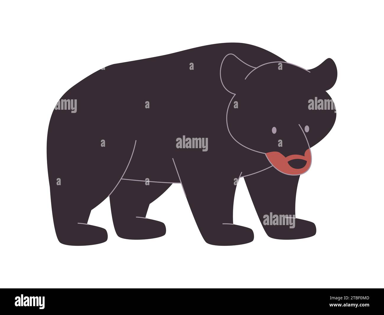 black bear big and fur omnivorous animal strong power predator creature