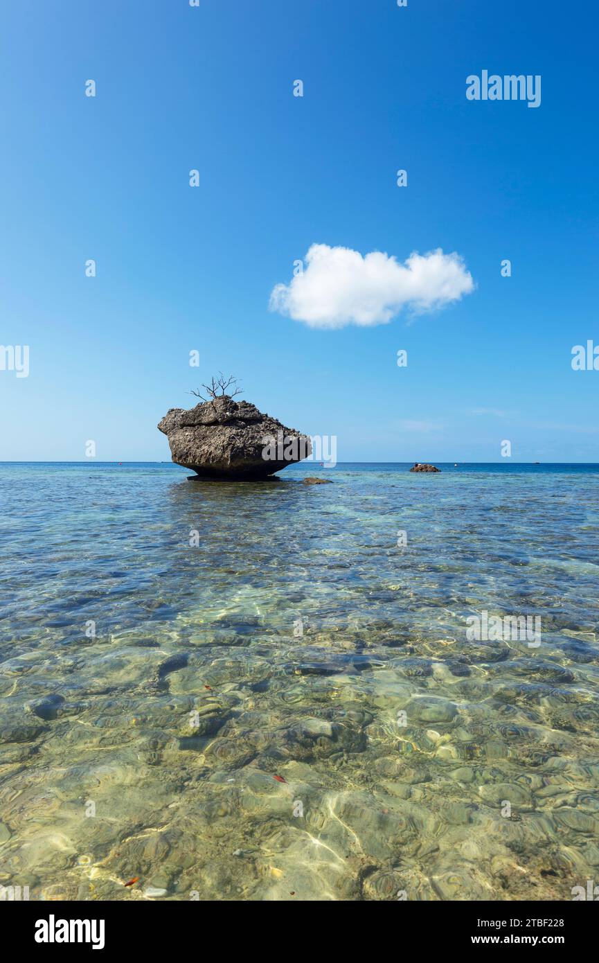 Vertical scenic view of the iconic eroded rock at Flying Fish Cove, Christmas Island, Australia Stock Photo