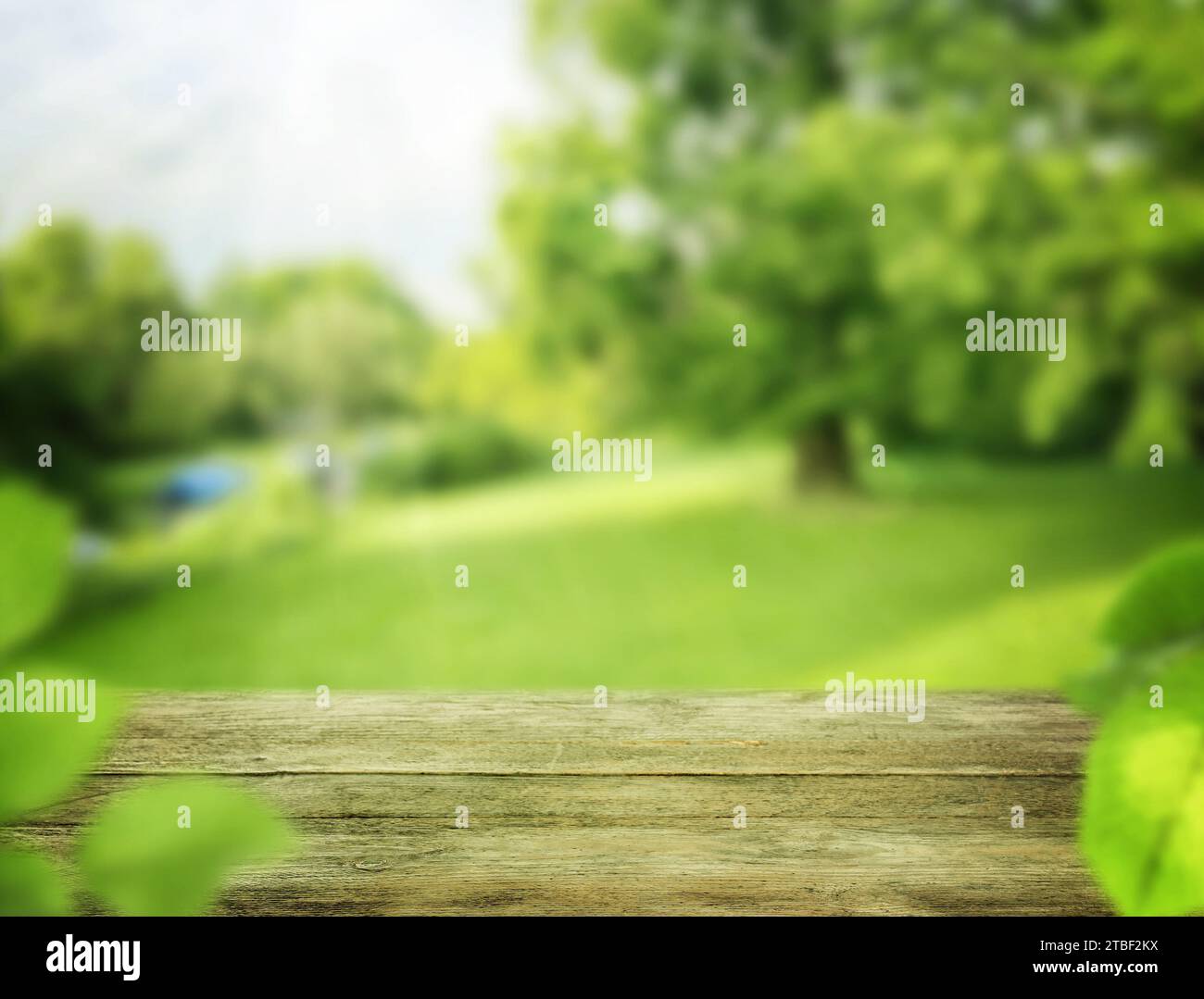 Empty botanic park summer sunny hi-res stock photography and images - Alamy