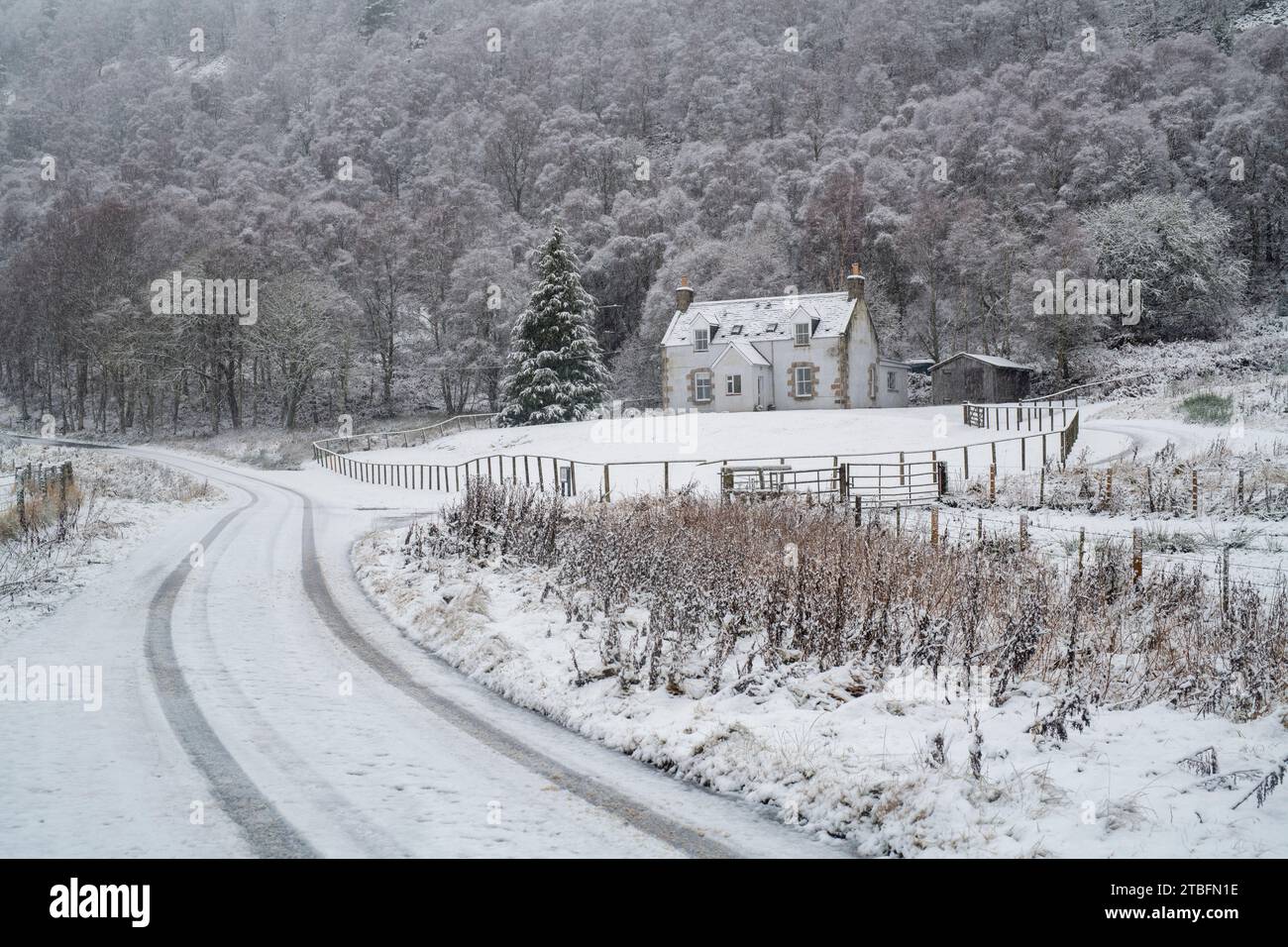Rural scottish house in the snow. Speyside, Morayshire, Scotland Stock Photo