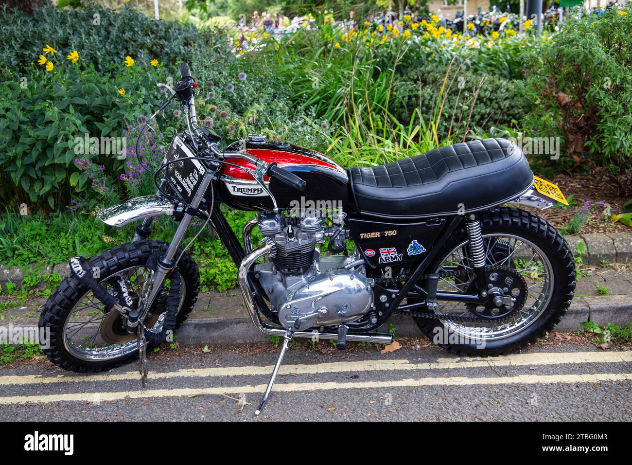 The Royal Signals White Helmets display, Triumph Tiger 750 motorbike at the Calne bike meet Stock Photo