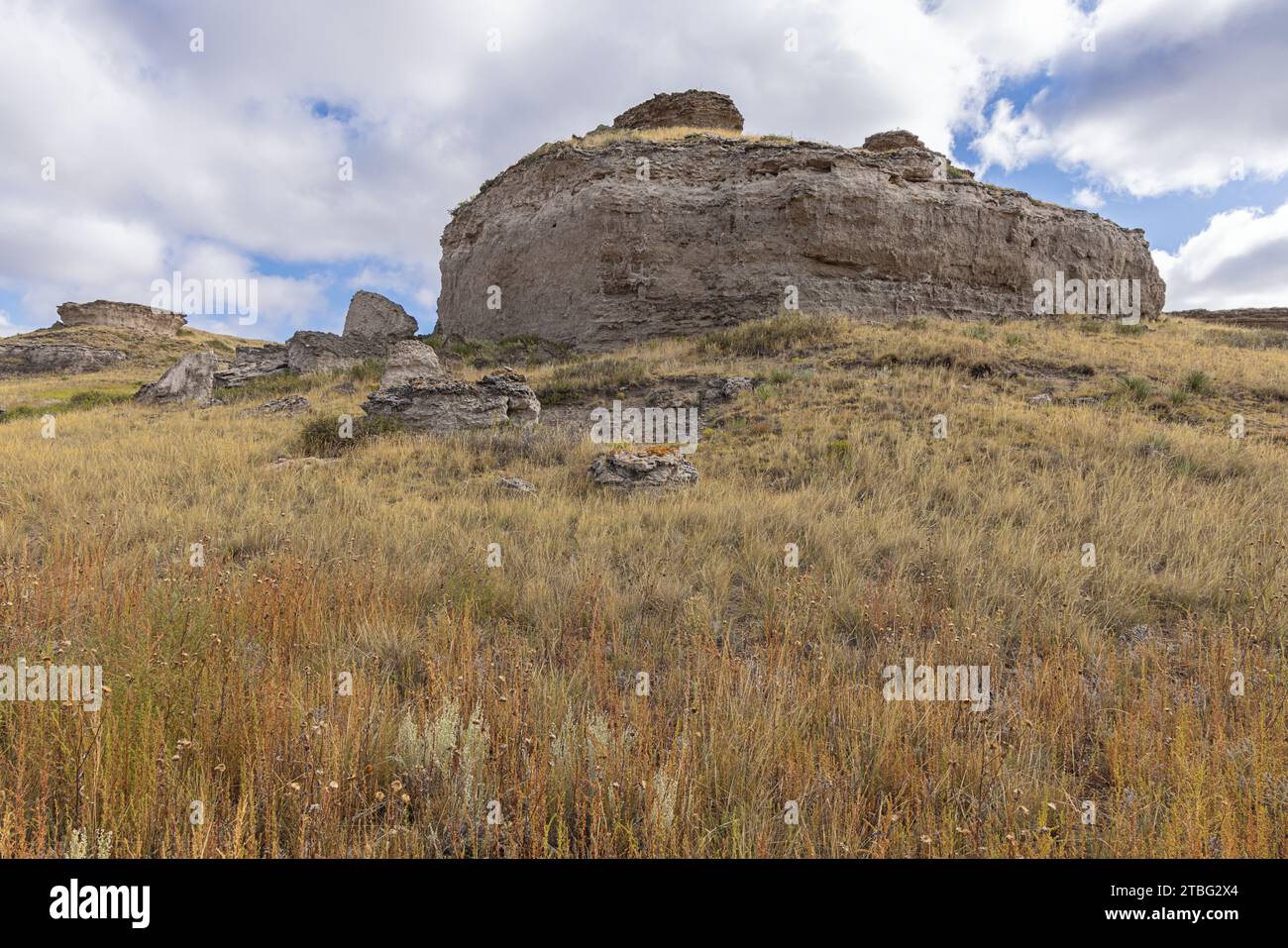 Fossil rocks hires stock photography and images Alamy