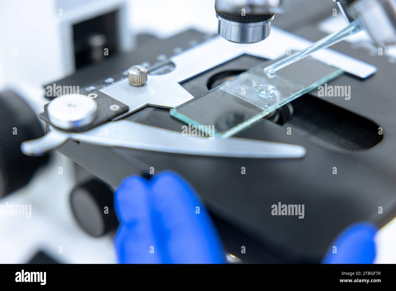 Scientific or medical test sample under microscope in laboratory, close