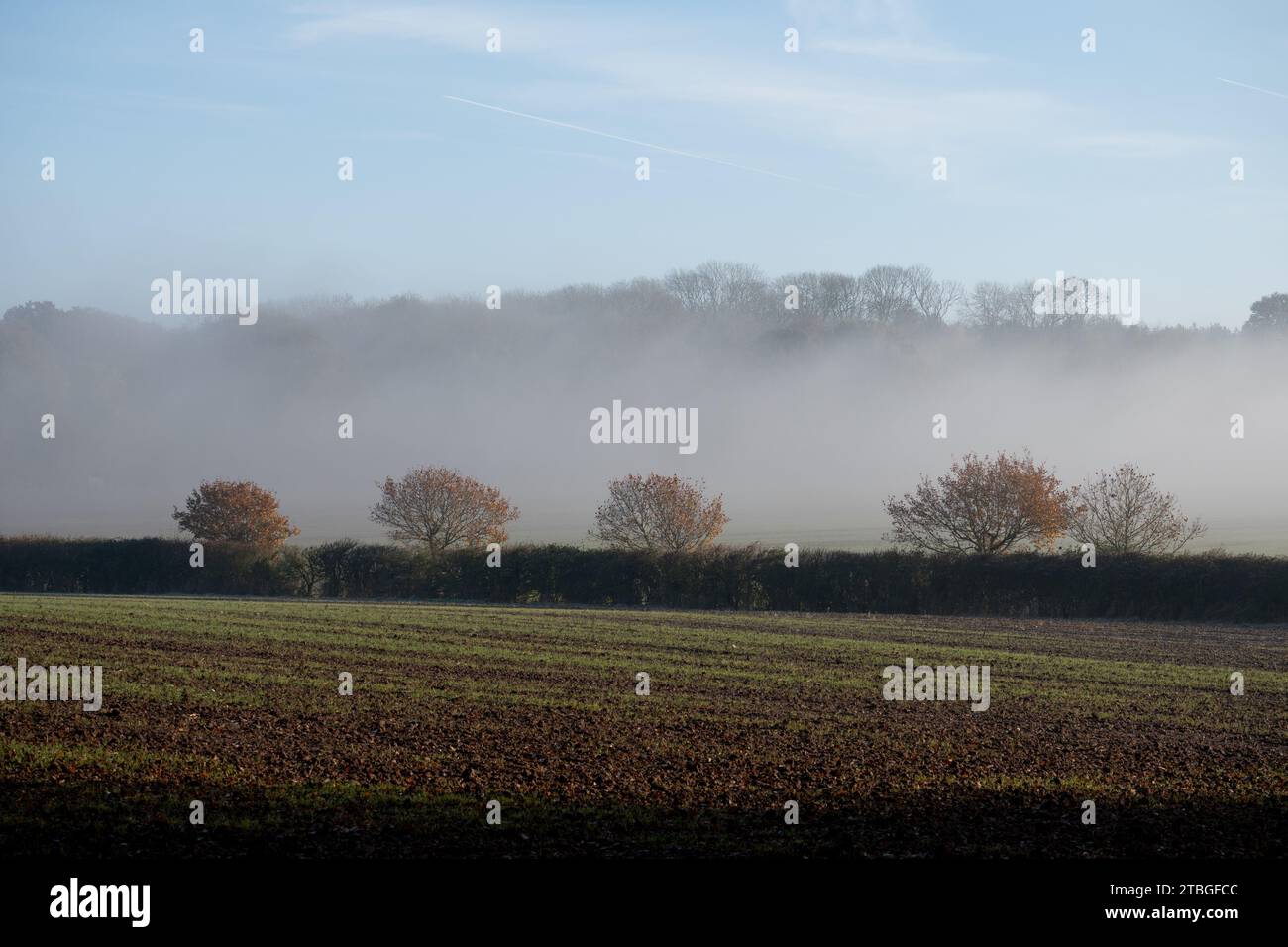 Winter landscape, Warwickshire, England, UK Stock Photo