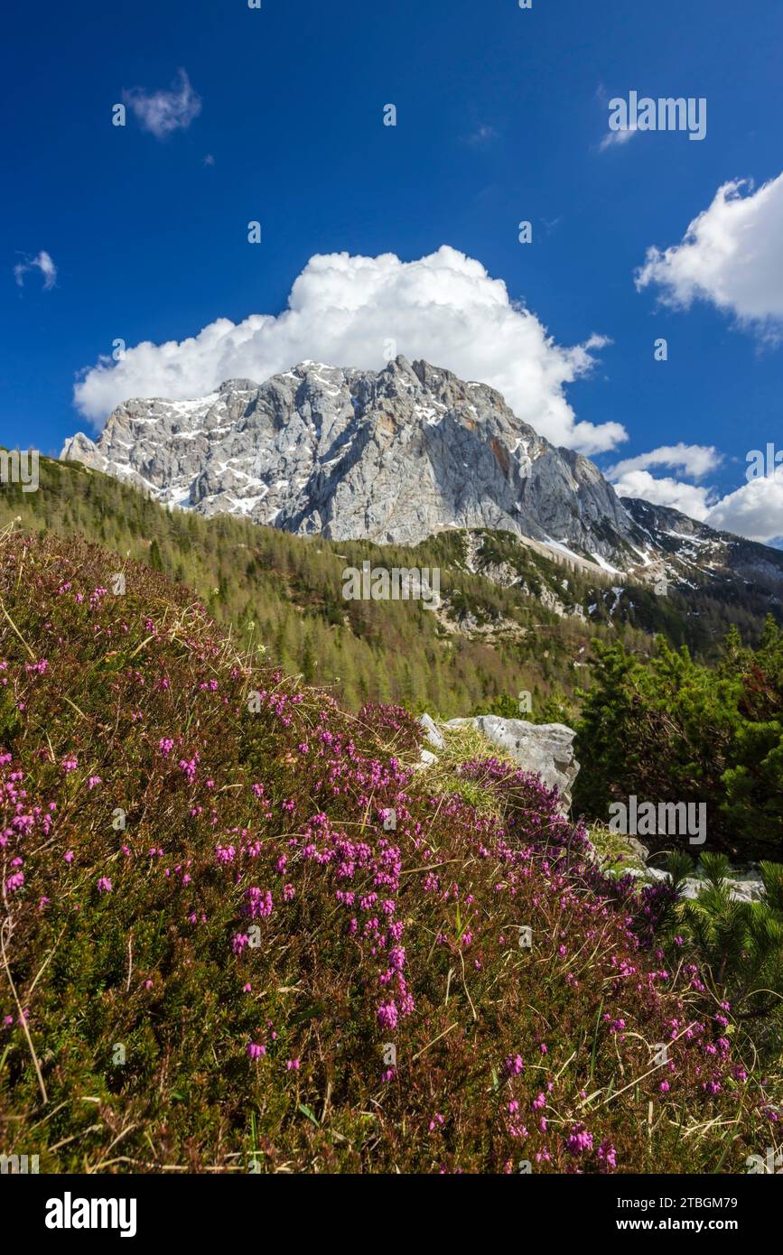 Landscape near Vrsic, Triglavski national park, Slovenia Stock Photo ...