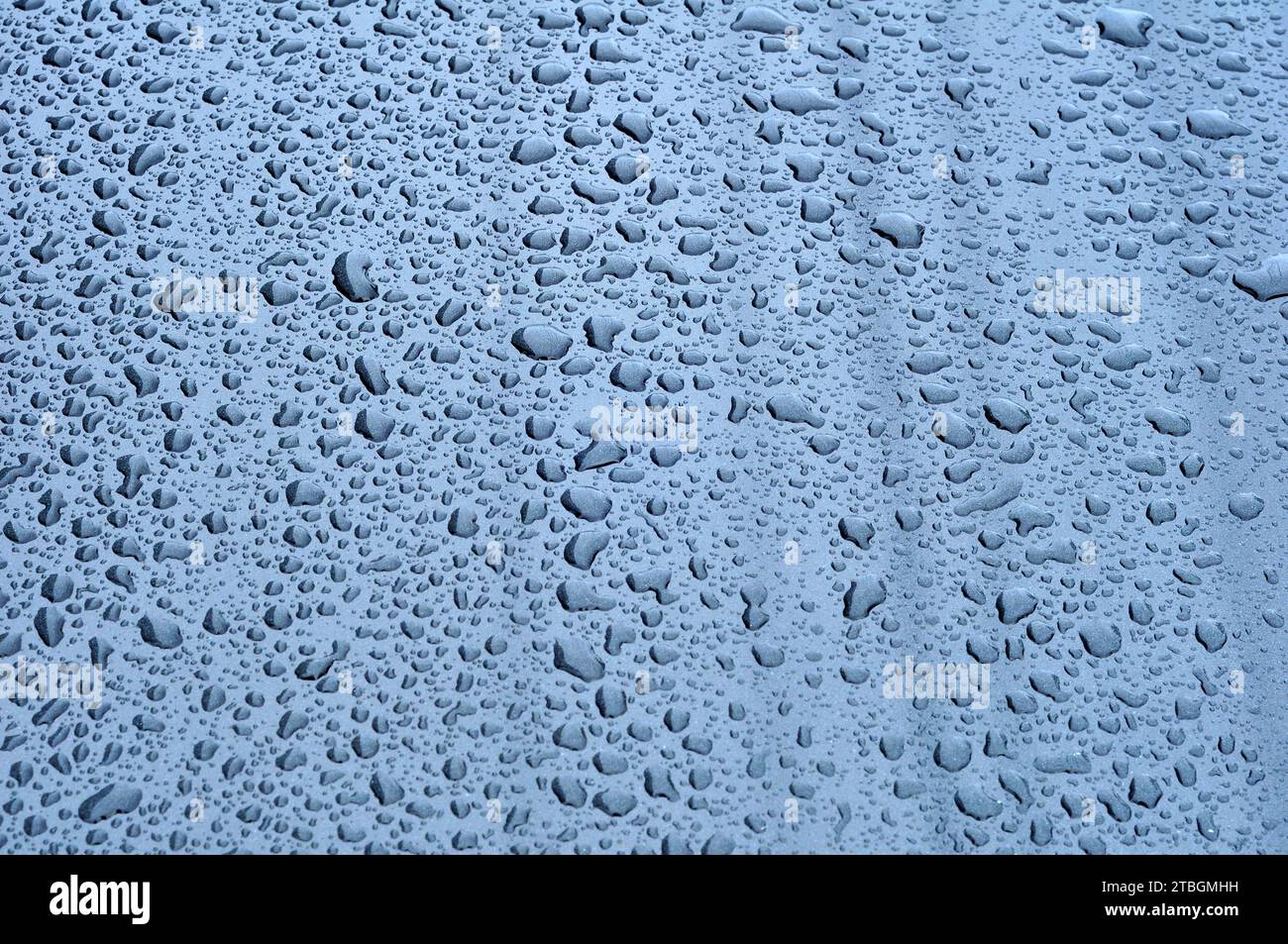 Metallic clean shiny black car paint hi-res stock photography and images -  Alamy