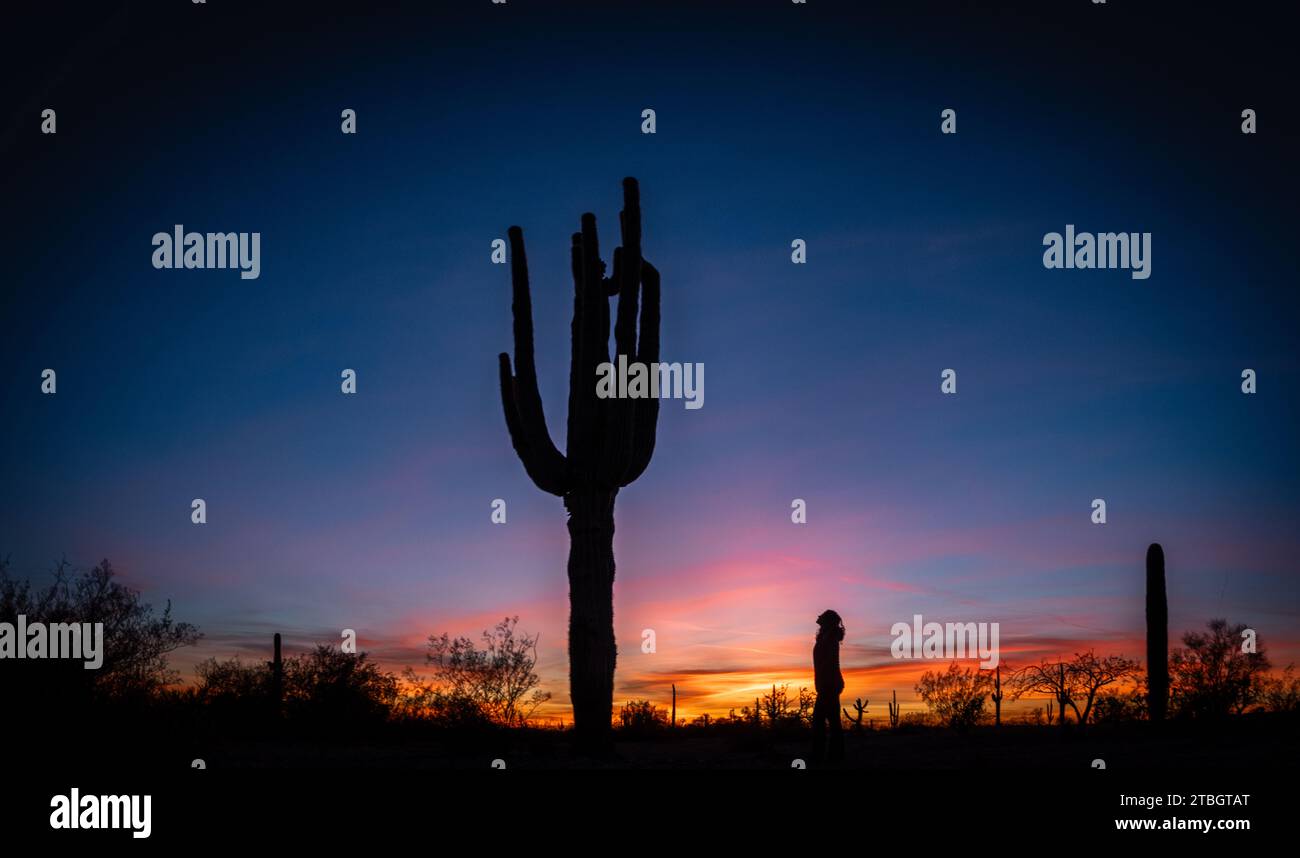 The silhouettes of a giant Saguaro Cactus and a female at a sunset in ...
