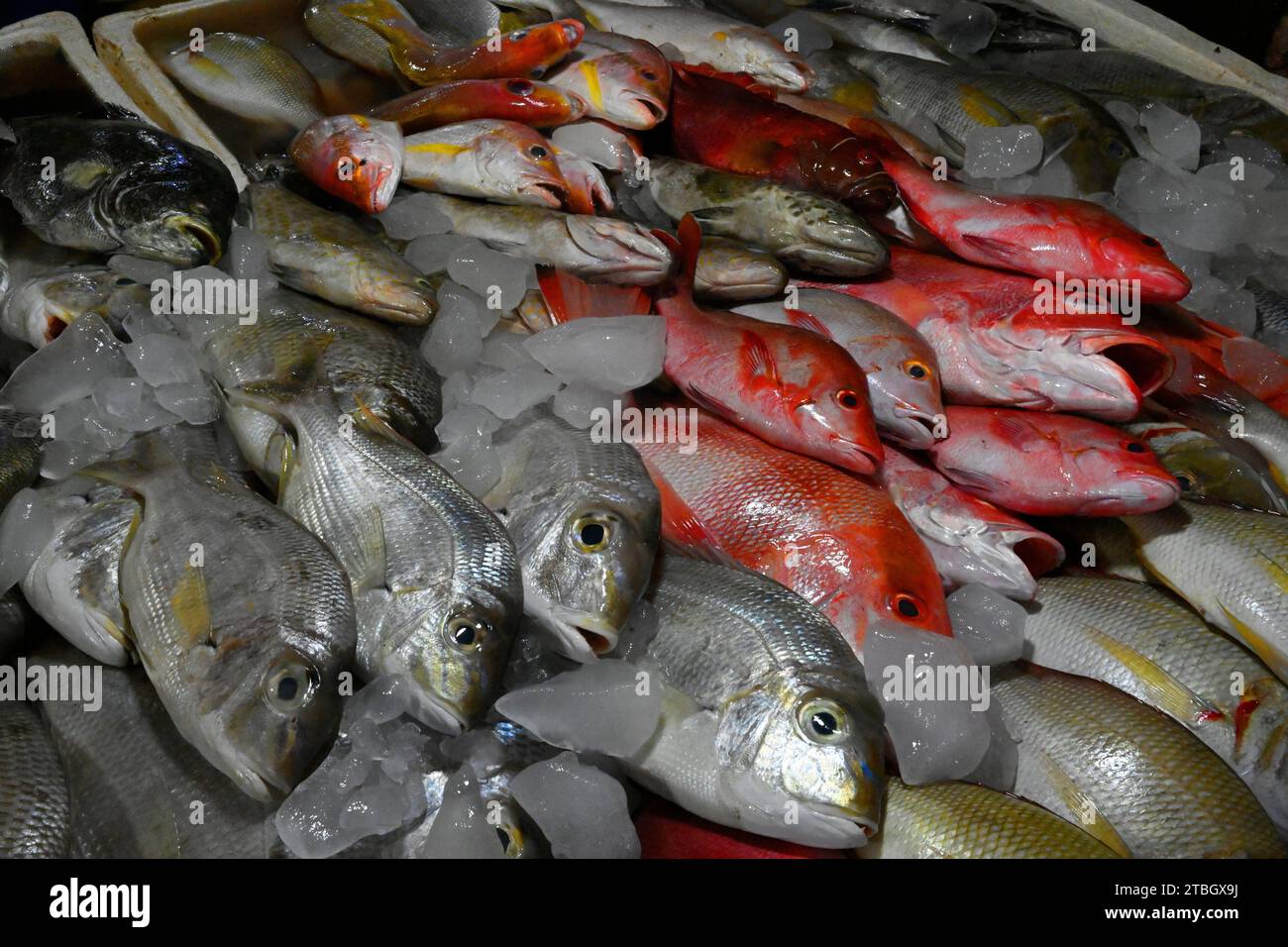 Fish Market in Jimbaran,Bali,Indonesia,Asia Stock Photo Alamy