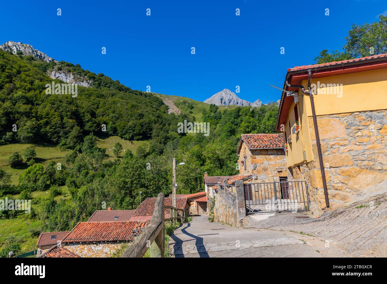 Foto de Peña Ubiña en Soto y Amío, León