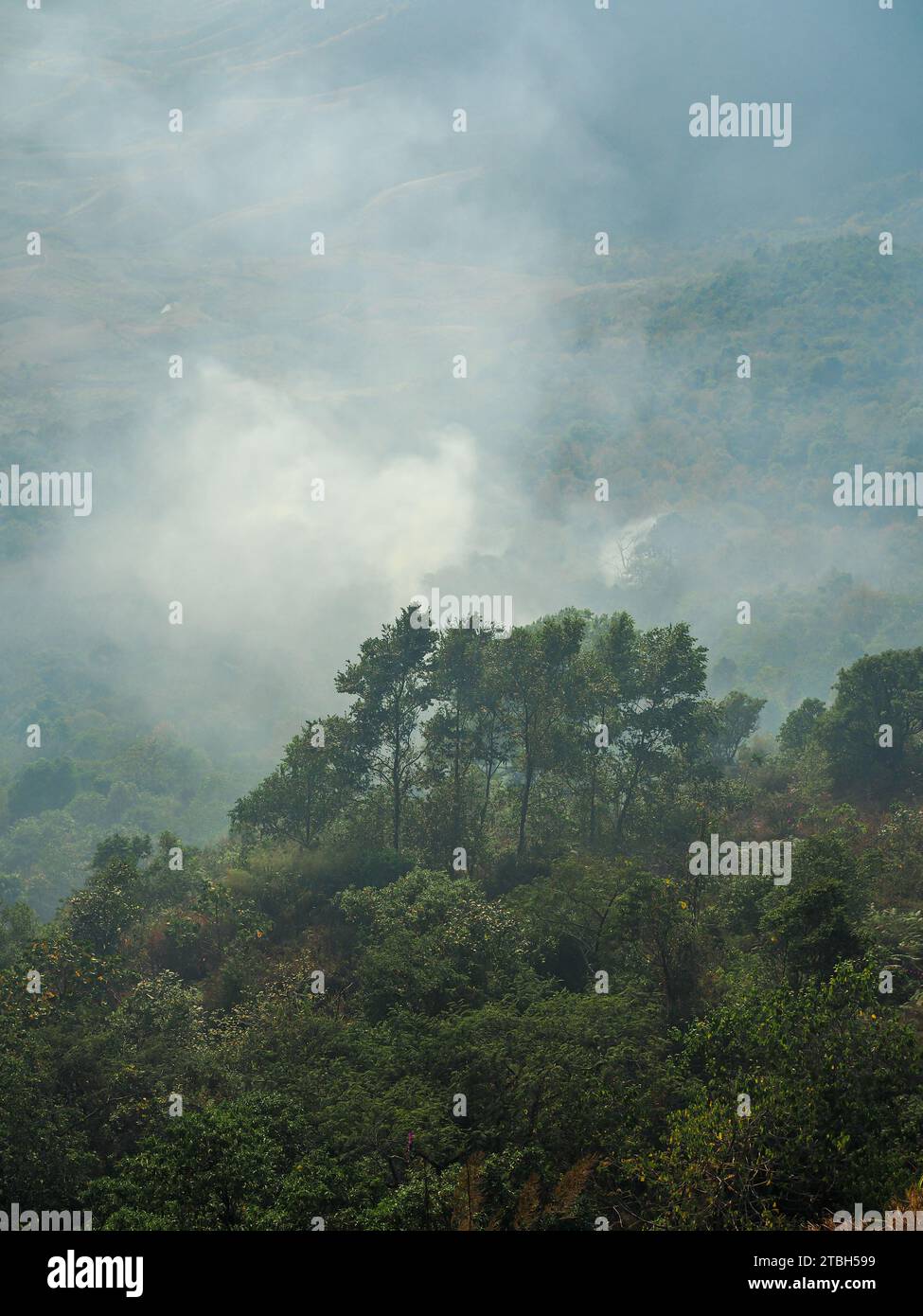 Forest Fire and White smoke or wildfire from fire on the mountain hill of village farm or plantation near the forest in Thailand, Asia. Unhealthy air Stock Photo
