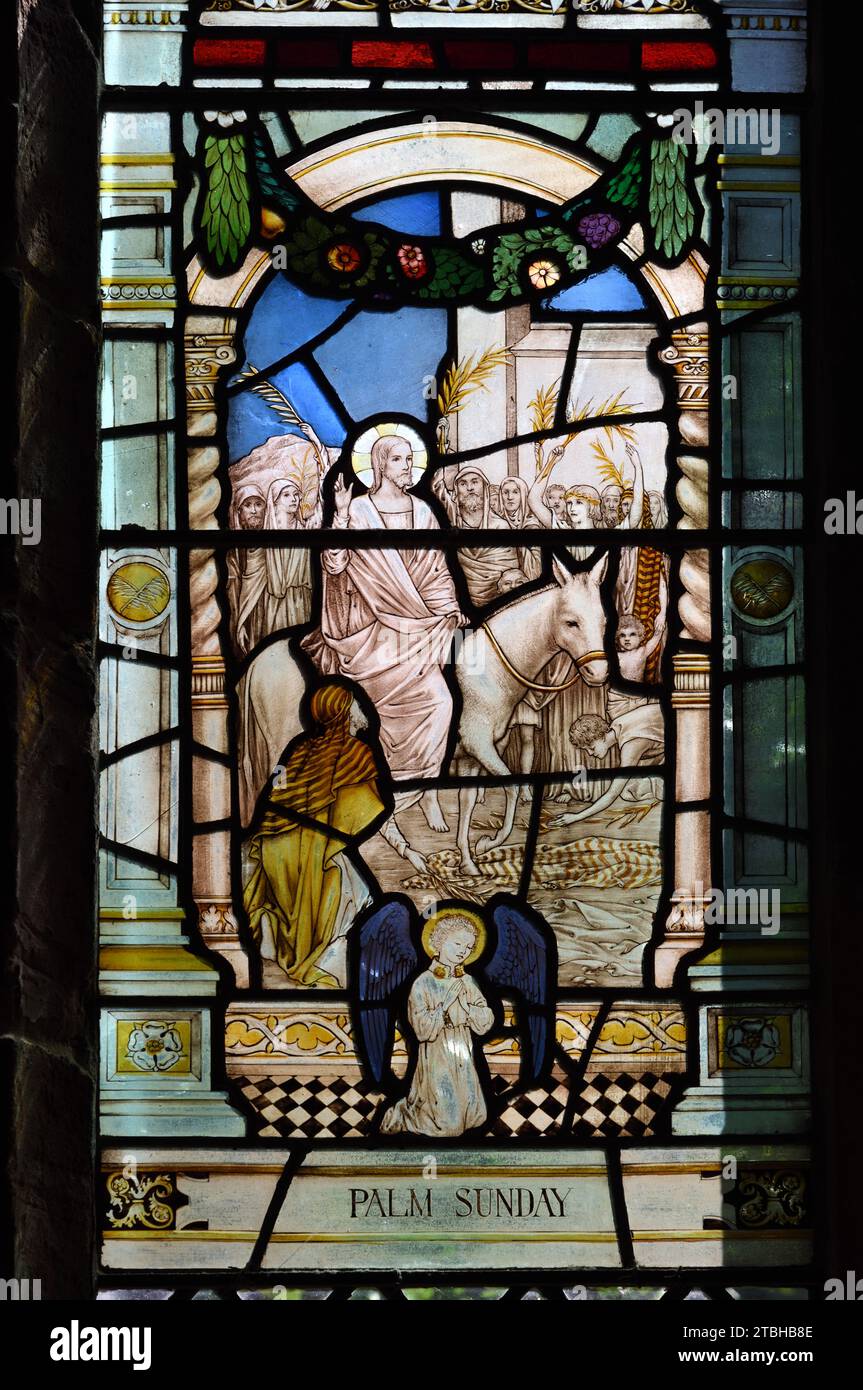 Palm Sunday with Triumphal Entry of Jesus Christ Entering Jerusalem on a Donkey. Stained glass Window in the Cloisters Chester Cathedral Stock Photo