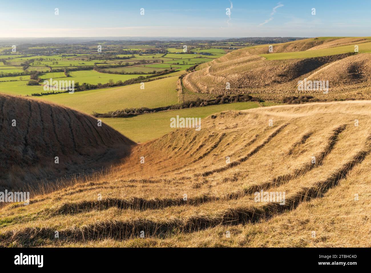 Rolling countryside vista from Roundway Hill, Devizes, Wiltshire, England. Winter (February) 2023. Stock Photo