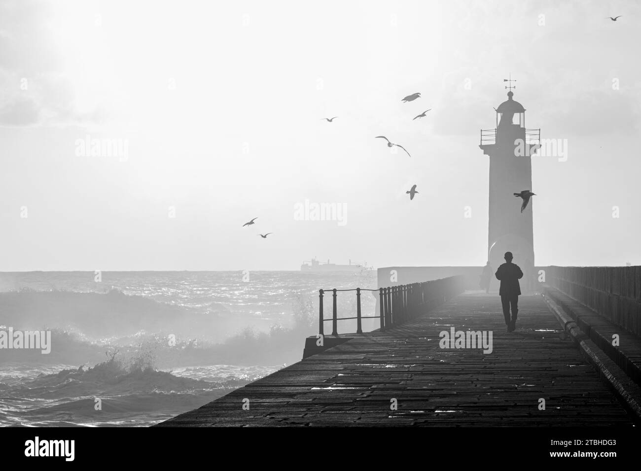 Sunset on autumn fall Black and White Stock Photos & Images - Alamy
