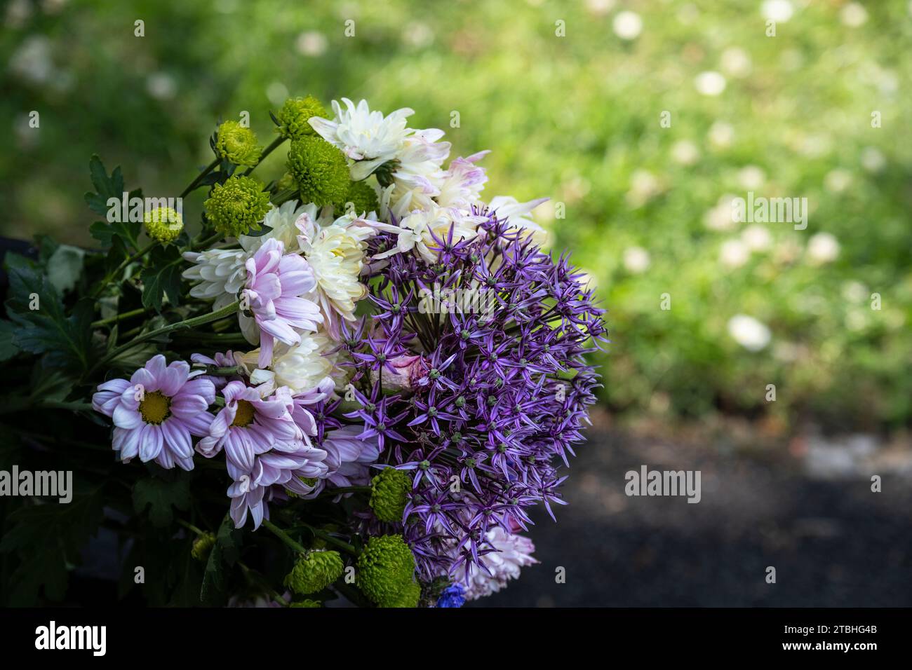 Various flowers in a bouquet. Stock Photo