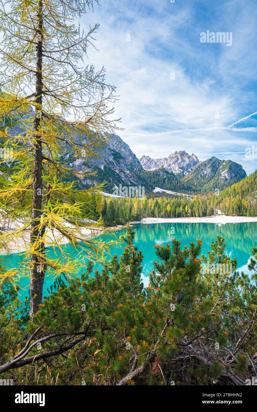 Alpine landscape golden larch hi-res stock photography and images - Alamy