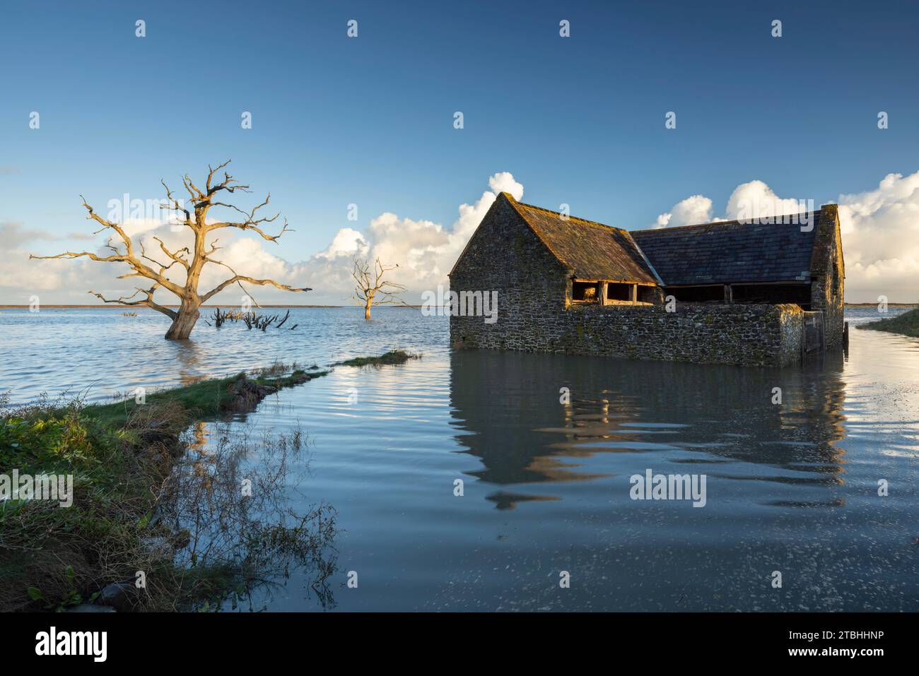 Flooded stone barn and dead trees at high tide in Porlock Bay, Exmoor National Park, Somerset, England.  Autumn (October) 2023. Stock Photo