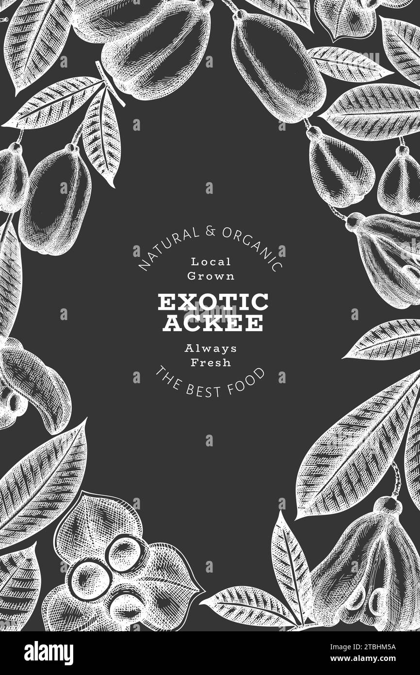 Hand drawn sketch style ackee banner. Organic fresh food vector ...