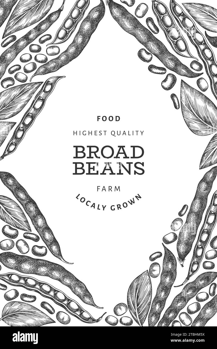 Hand drawn broad beans design template. Organic fresh food vector illustration. Retro pods illustration. Engraved botanical style cereal background. Stock Photo