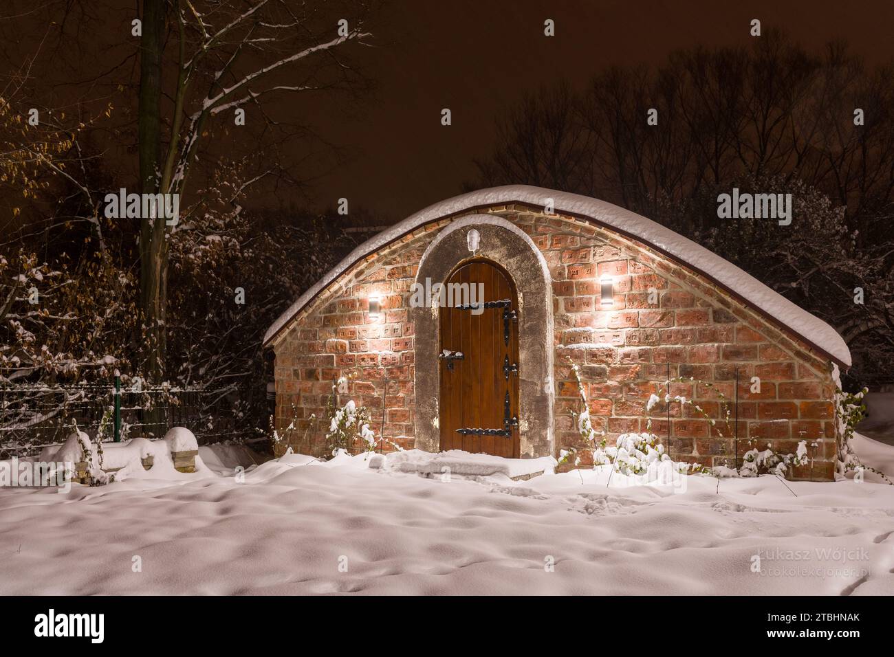 Wall and door to wine cellar, dugout, Stock Photo