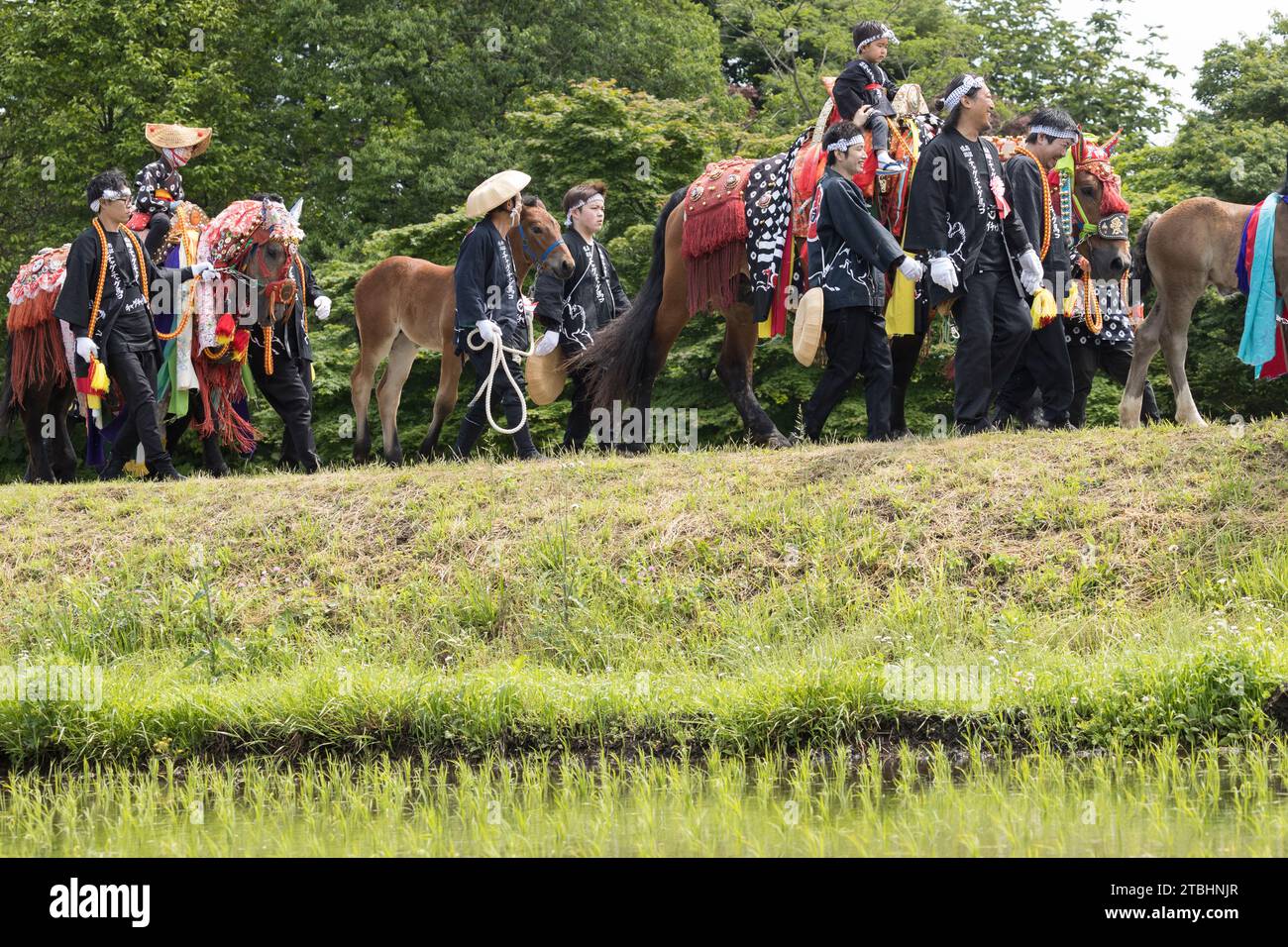 Chagu Chagu Umakko horse festival iwate Prefecture Japan Stock Photo