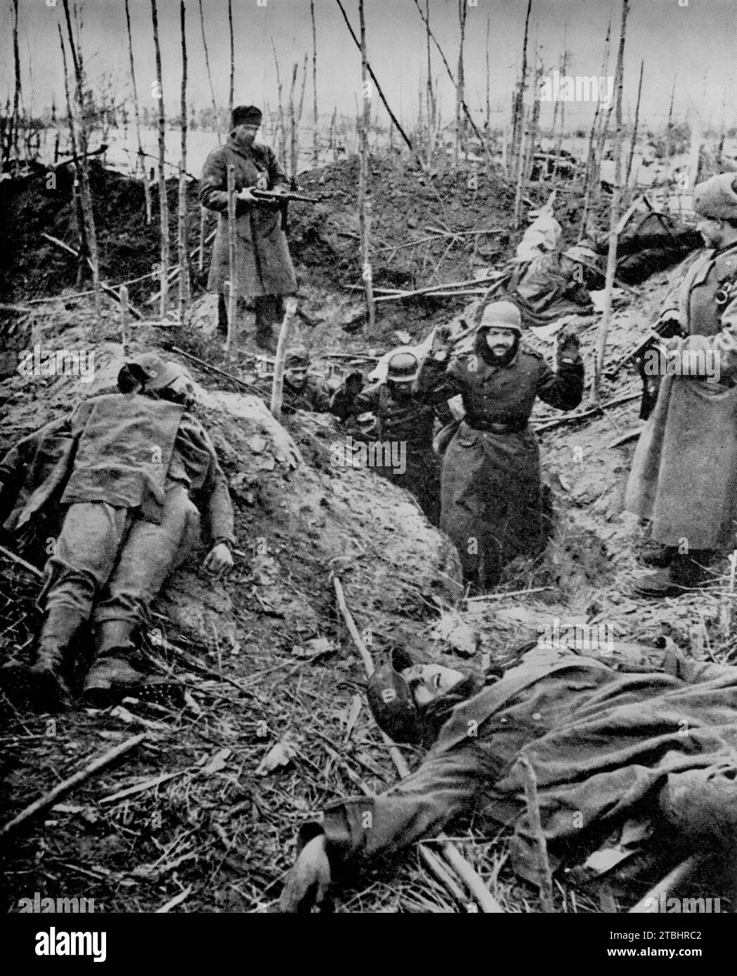 Russian soldiers take Wermacht troops prisoner near Staraya during the German invasion of Russia in April 1942. Promised relief that came too late for the encircled and the now captured invaders fought hard, as can be seen by the bodies of their colleagues lying near the trenches. Stock Photo