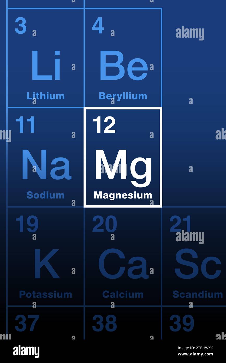 Magnesium on periodic table of the elements. Alkaline earth metal with symbol Mg and atomic number 12. Eleventh most abundant element in human body. Stock Photo