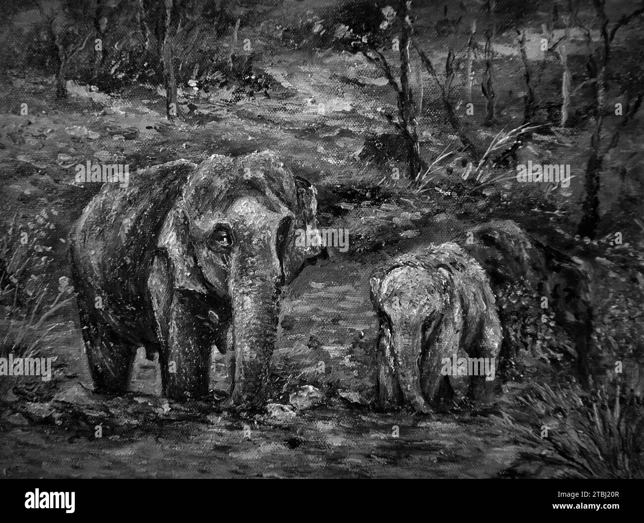 Elephant tusk art Black and White Stock Photos & Images - Alamy
